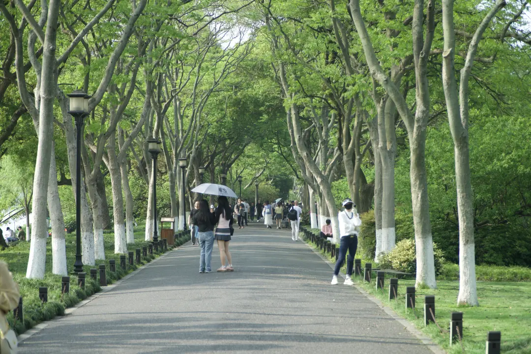 西湖-9